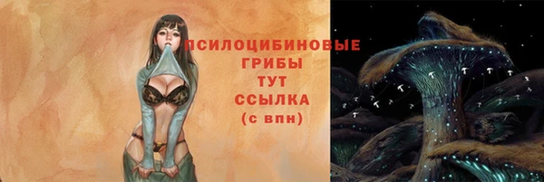 бошки Алексин