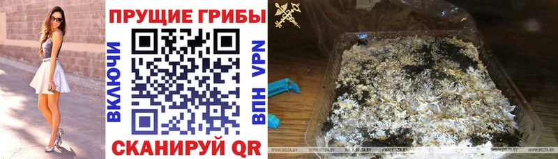Псилоцибиновые грибы MAGIC MUSHROOMS  Венёв 