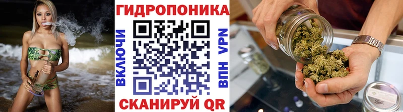 Шишки марихуана VHQ  где продают наркотики  Венёв 